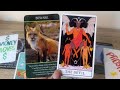 Cancer Tarot ♋️ 👺🦊Beware Cancer, Don’t Let This Affect Your Money!