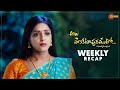 Ala Venkatapuramlo | Ep 349 - 354 | Recap | Weekly Roundup | Gemini TV | Telugu Serial