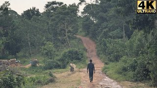 An African Village Walk in 4k