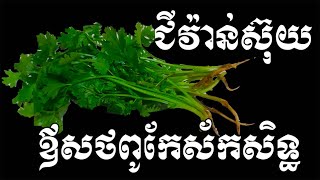 ជីវ៉ាន់ស៊ុយលាក់នូវអាថ៌កំបាំងដ៏អស្ចារ្យជាឪសថព្យាបាលជំងឺ  - Health inform