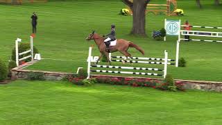 Video of PICOBELLO CHOPPIN PC ridden by MOLLY ASHE from ShowNet!