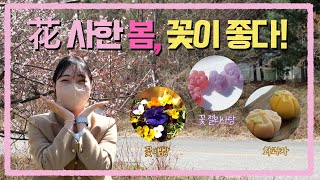 花사한 봄, 꽃이 좋다!🌸 | 전국을 달린다-창원 (KBS 2022.04.13 수 방송)