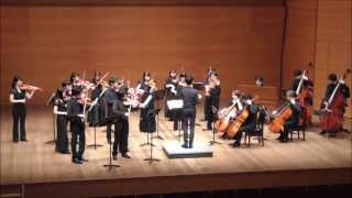 J.S.Bach: Concerto for 2 Violins BWV1043