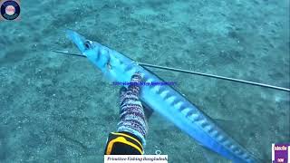 দেখুন সমুদ্রের তলদেশে কিভাবে মাছ ধরে | See how fishing at the bottom of the ocean