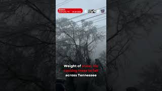 Ice, snow weighing down TN trees