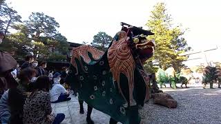 飛騨総社例祭　親子獅子舞2022年5月5日 境内奉納　　獅洋獅子12歳   太凰獅子6歳