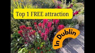 National Botanic Gardens - The top must see FREE attraction in Dublin!