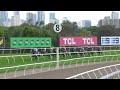 vrc oaks 2024 treasurethe moment 3yo sw g1 f group 1 flemington 7 november