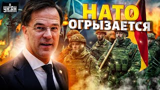 НАТО огрызается: выходки РФ всем надоели. Германия не стала сидеть сложа руки. Подготовка к войне