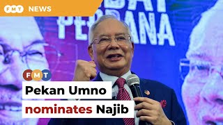 Pekan Umno nominates Najib as candidate for GE15