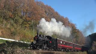 真岡鉄道C12米寿 2021.11.27