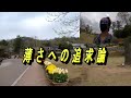 兵庫県加西市「フラワーセンター」チューリップ満開🌷🌷