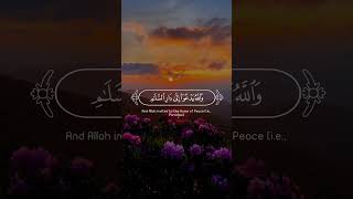 والله يدعوا إلى دار السلام 🪻#fypシ゚ #quran #islamicvideo