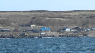 焼尻島→天売島　羽幌沿海フェリー