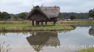 HP安国寺集落遺跡公園「弥生のムラ」