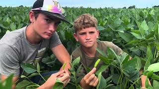 Schultz Family Farms LLC.- Crop Year 2024