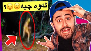 Ashkan Reacts - 🤯ئەم بونەوەرانە چین؟