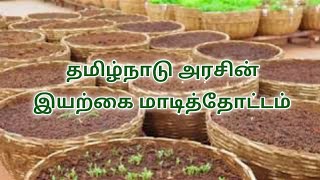 தமிழ்நாடு அரசின் இயற்கை மாடித்தோட்டம்