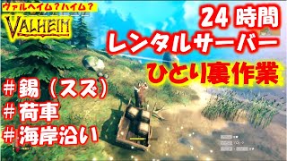 【Valheim】ひとり錫（スズ）を集める裏作業！24時間レンタルサーバー【PC】