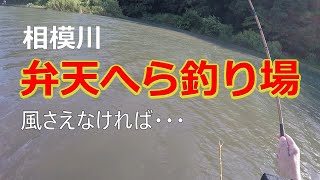 【へらぶな釣り】相模川　弁天へら釣り場