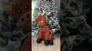 Highland cow inflatable 🐮😍🐄 #highlandcow #cows #highlandcows #walmart #christmas #walmartfinds