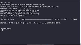 Getting Started with the Jenkins CLI