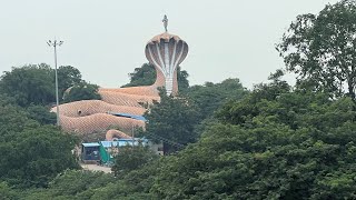 “Secrets of Nampally Gutta: The Remarkable Big Snake Story\