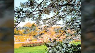 BOURNEMOUTH - SPRING - ENGLAND