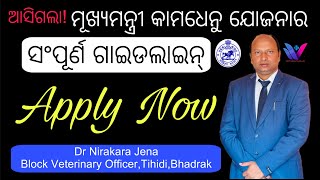 ମୂଖ୍ୟମନ୍ତ୍ରୀ କାମଧେନୁ ଯୋଜନାର ସଂପୂର୍ଣ ନିୟମାବଳୀ।କାହାକୁ,କିପରି କରିବେ ଆବେଦନ,ସବସିଡ୍ କେତେ,ଗାଈ କେଉଁଠୁ କିଣିବେ॥