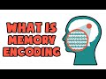What is Memory Encoding | Explained in 2 min