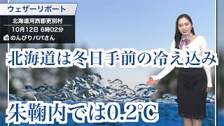 北海道は冬日手前の冷え込み 朱鞠内では0.2℃