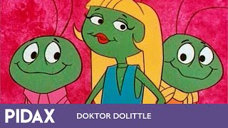 Pidax - Doktor Dolittle (1970-1972, Zeichentrickserie)