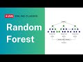 01. Introduction to Random Forest | Machine Learning Algorithms