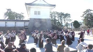 【4K】東京歌留多( ODAWARAえっさホイおどり 2024/銅門会場）