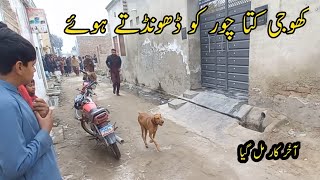 khoji kutta Chor ko dhundhte hue🐕‍🦺 ||Apna time vlogs