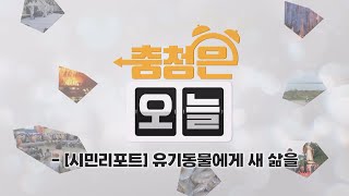 [시민리포트] 유기동물에게 새 삶을 / KBS대전 20241014 방송