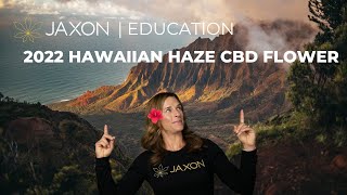 2022 Hawaiian Haze