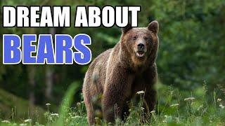 Meaning Behind Dreams About Bears And Their Symbolism - Sign Meaning