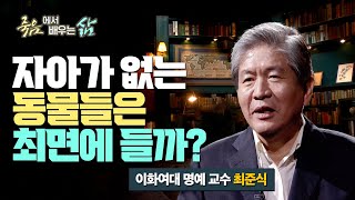 자아가 없는 동물들은 최면에 들 수 있을까?! [죽음에서 배우는 삶 36회]