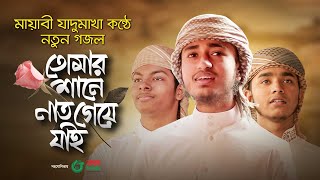 মায়াবী যাদুমাখা কণ্ঠে নতুন গজল | Tomar Shane Naat Geye Jai | Qari Abu Rayhan | Bangla Islamic Song