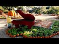 2019 Autumn at the Arboretum Drone Footage