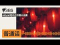 Jellycat何以在中国火出圈 | SBS Mandarin - SBS 普通话电台