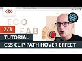 2/3 - CSS Clip-path hover effect tutorial