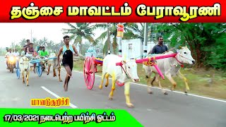 மாவடுகுறிச்சி  மாட்டுவண்டி பயிற்சி ஓட்டம்/Reklarace/Perai Rajdigital