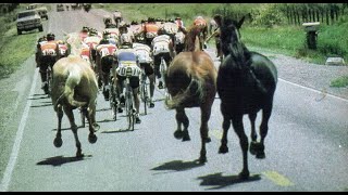 1982 Coors International Bicycle Classic