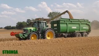 Hvedehøst (2019) – Stronga BulkLoada, John Deere \u0026 Claas Lexion 770