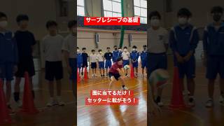 サーブレシーブの基礎　#shorts #volleyball #バレーボール #バレー #ハイキュー #バレー好きな人と繋がりたい #haikyuu #volleyballplayer