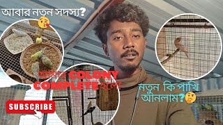 আবার নিয়ে আসলাম নতুন সদস্য😱 আর হয়েছে অনেক ছোট পাখির বাচ্চা