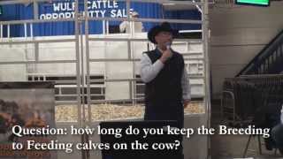 Wulf Cattle Seminar  Questions 2