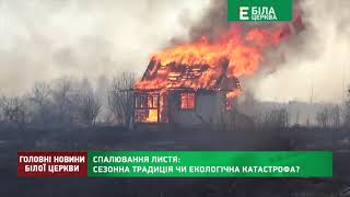 Спалювання листя: сезонна традиція чи екологічна катастрофа?